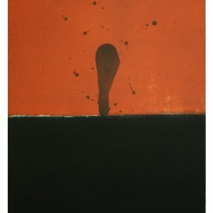 gravure originale de Tyson, exposée en permanence à la galerie et éditeur d'art l'Estampe à Strasbourg