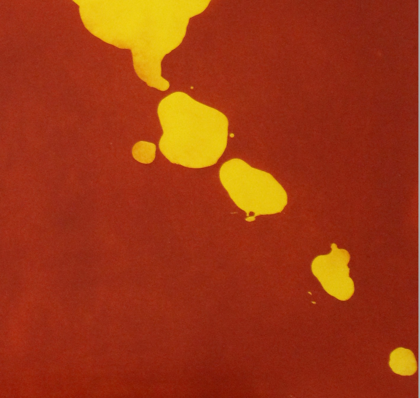 détail gravure originale de Tyson, exposée en permanence à la galerie et éditeur d'art l'Estampe à Strasbourg