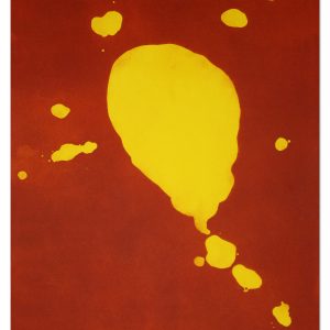 gravure originale de Tyson, exposée en permanence à la galerie et éditeur d'art l'Estampe à Strasbourg