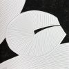 nouvelle gravure à la galerie d'art l'Estampe à Strasbourg